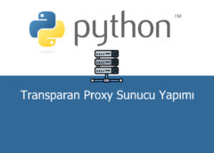 Python ile Transparan Proxy Sunucu Yapımı